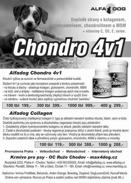Reklama z časopisu Pes přítel člověka na kloubní výživu Chondro 4v1.